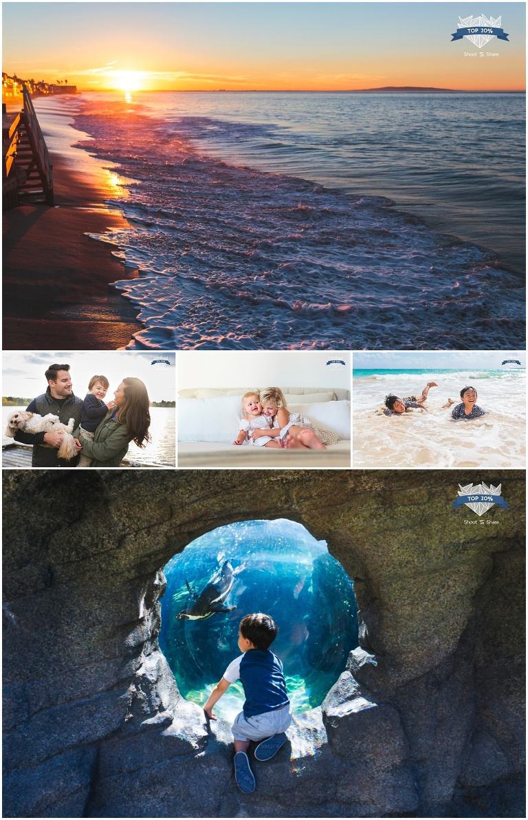 malibu sunrise, family at greenlake, sisters hugging, boys at the beach, boy watching penguin